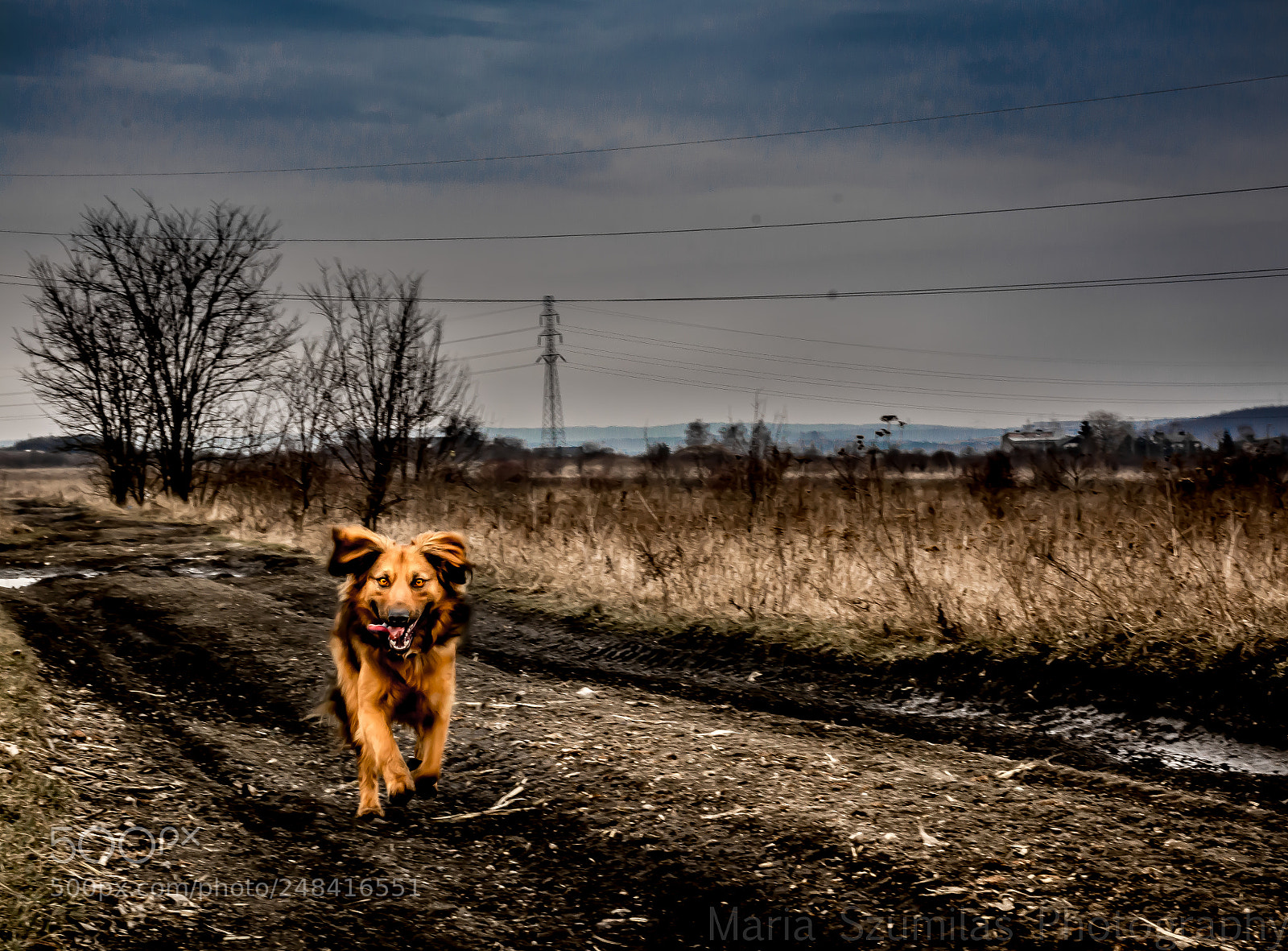 Nikon D7100 sample photo. Wait i'm rushing to photography