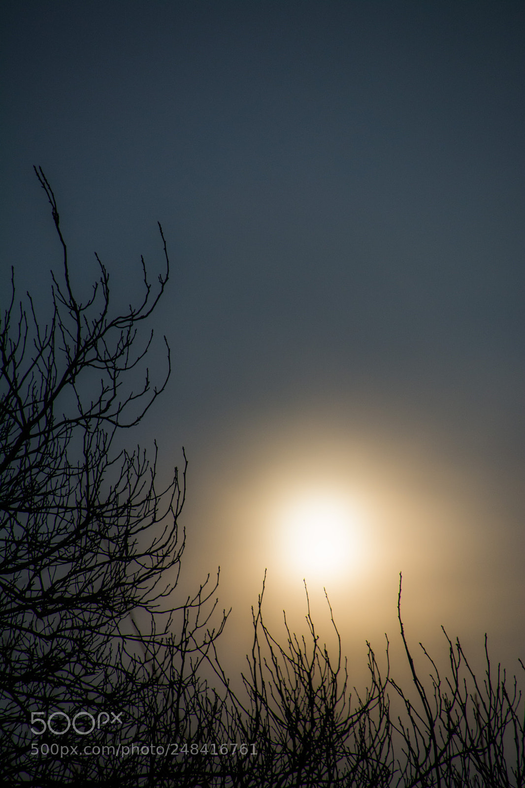 Nikon D7100 sample photo. Morning 6.3.2018 photography