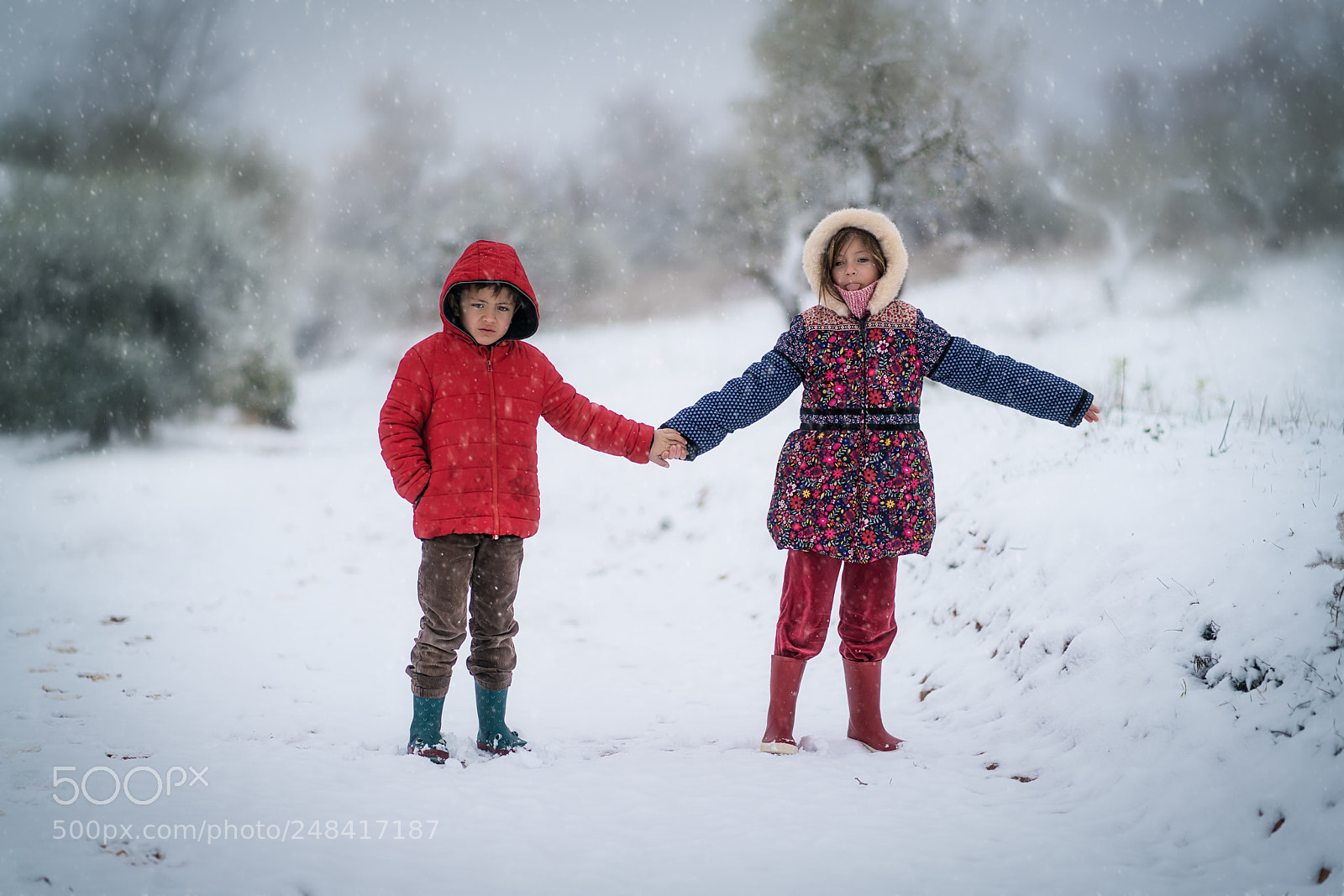 Sony a7R II sample photo. Good brothers photography