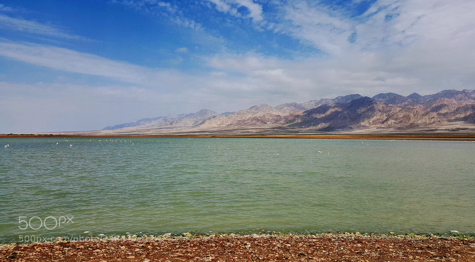 Samsung Galaxy S6 sample photo. Untitled photography