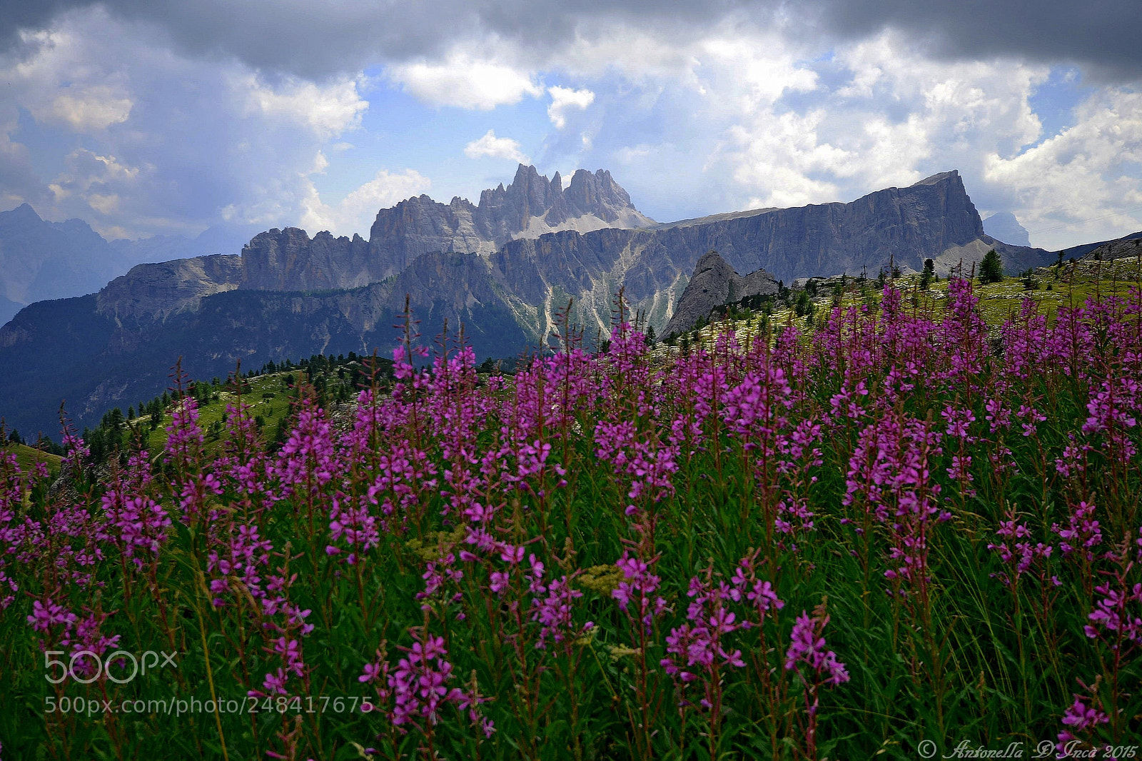 Nikon D3100 sample photo. Meravigliose dolomiti photography
