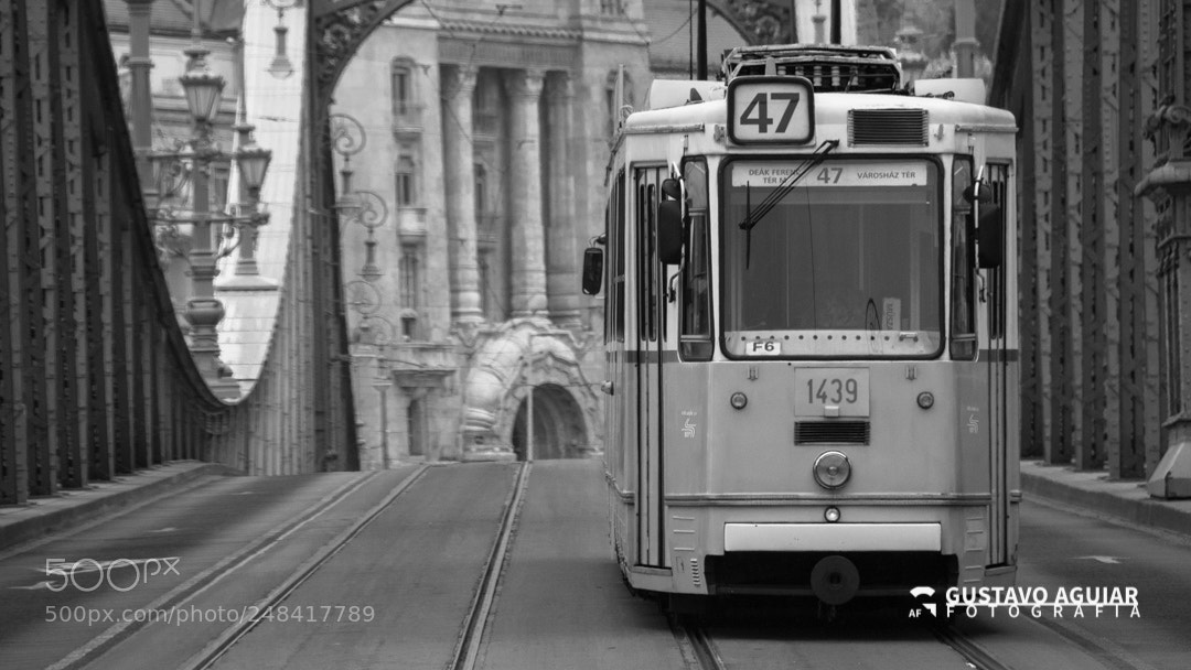 Canon EOS 60D sample photo. Tram 47 - liberty bridge photography
