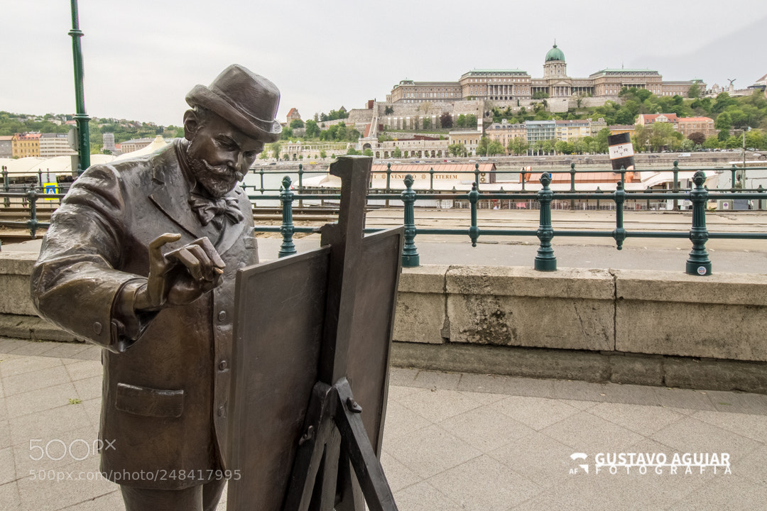 Canon EOS 60D sample photo. Roskovics ignac statue photography