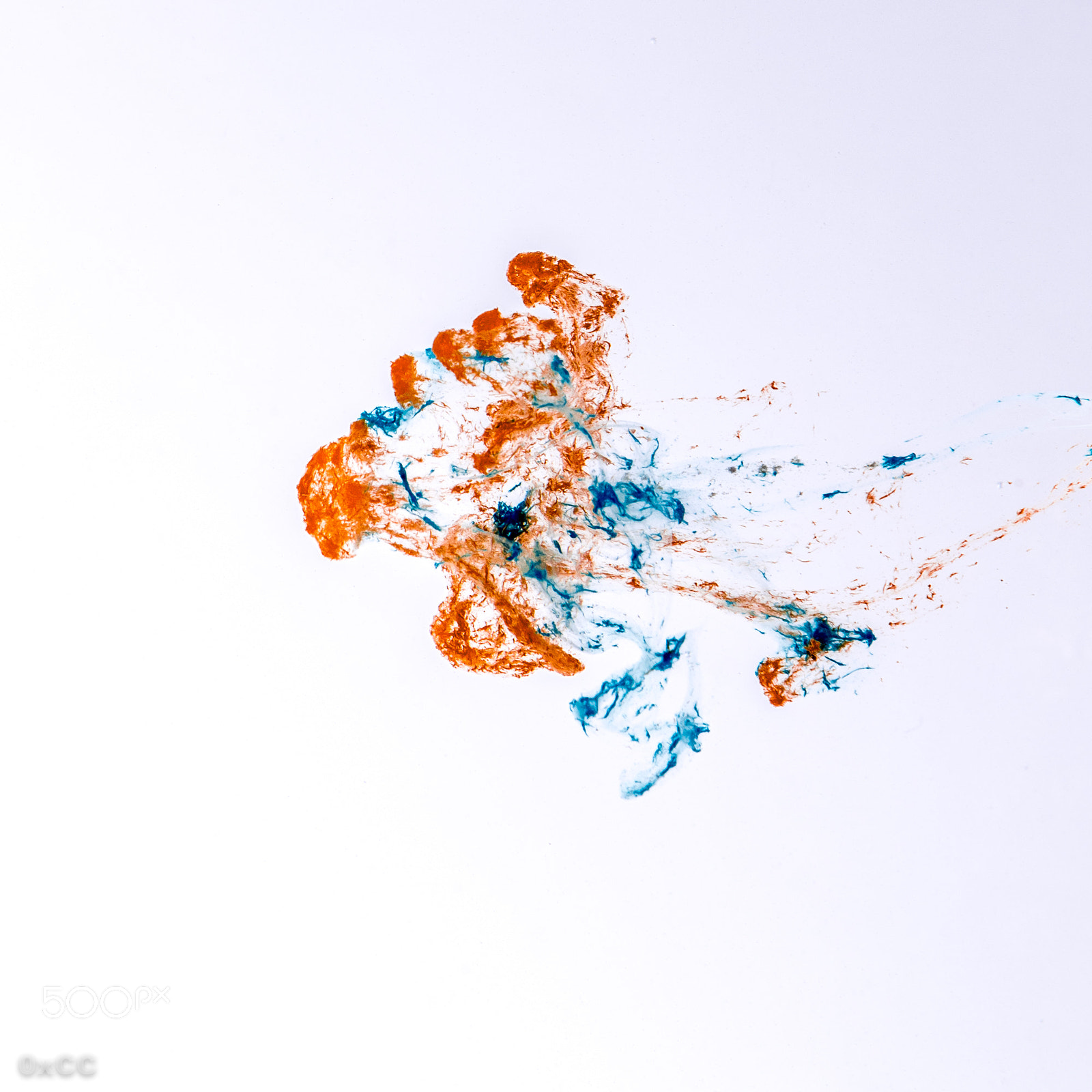 Canon EOS 7D Mark II sample photo. Complementary colors - blue photography
