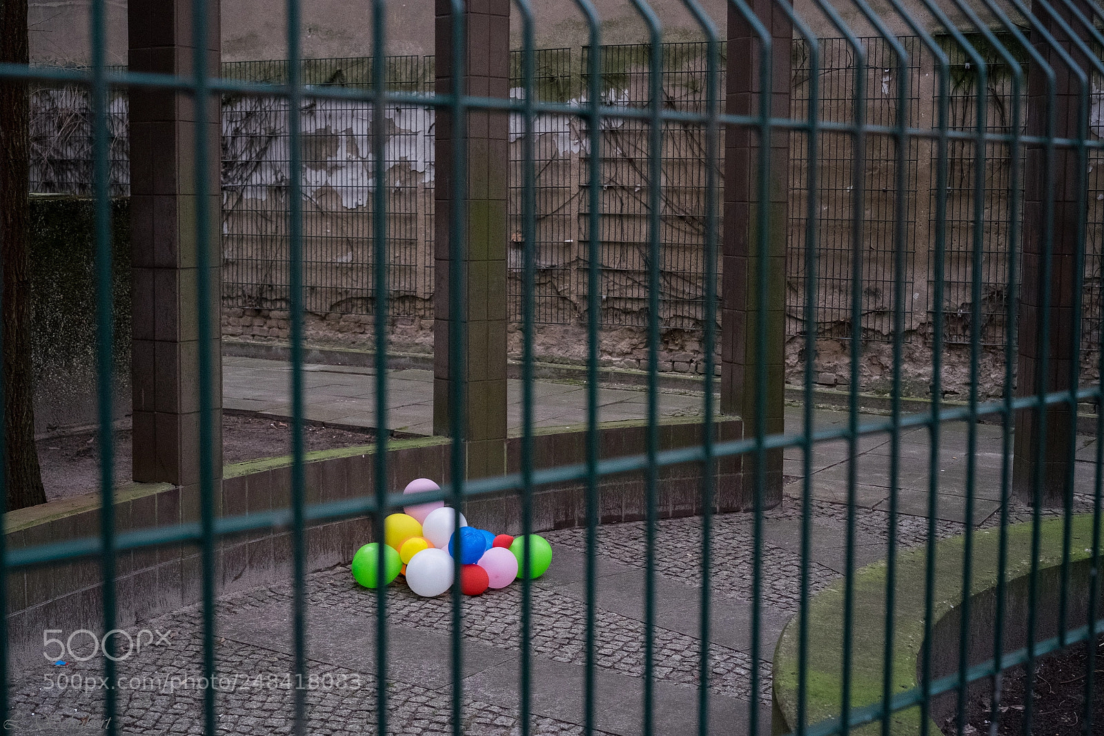 Fujifilm X-T1 sample photo. Imprisoned joy photography