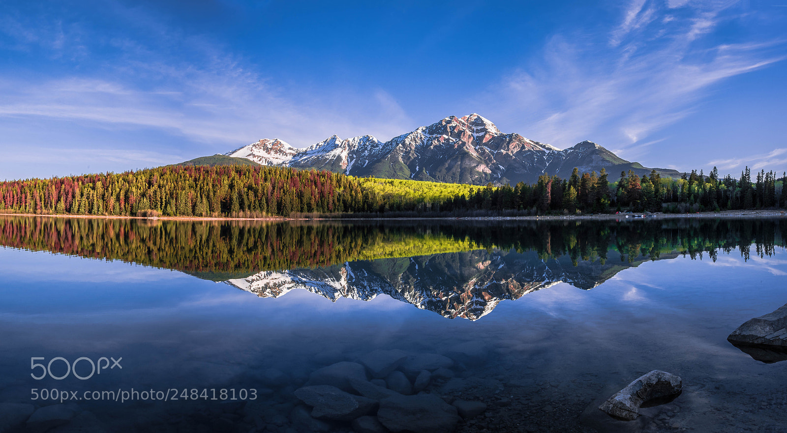 Nikon D810 sample photo. Morning stillness photography