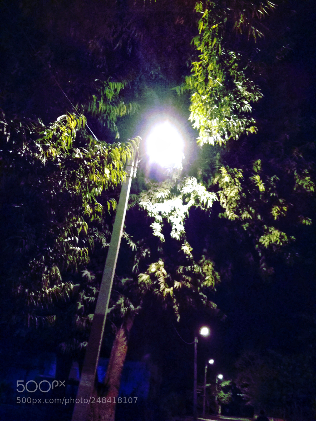 Xiaomi Redmi 4 Pro sample photo. Lone light photography