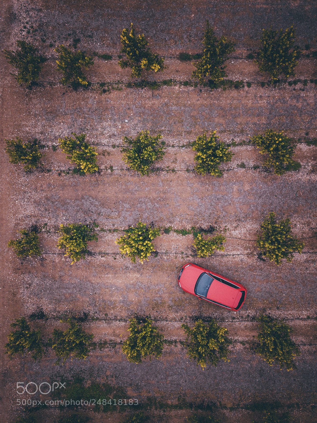 DJI FC220 sample photo. No problem parking photography