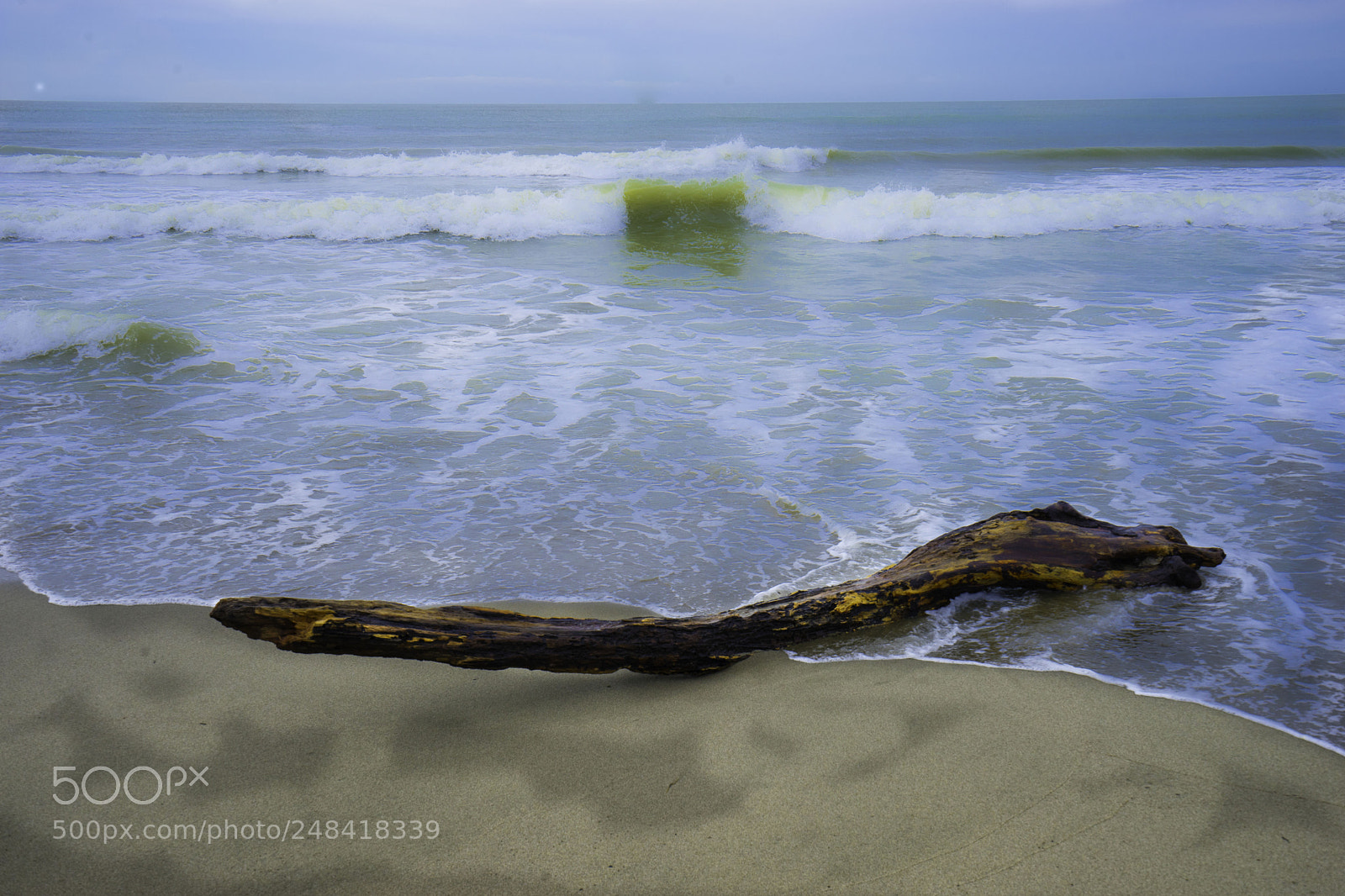 Sony a7 II sample photo. Vecchiano cinque photography