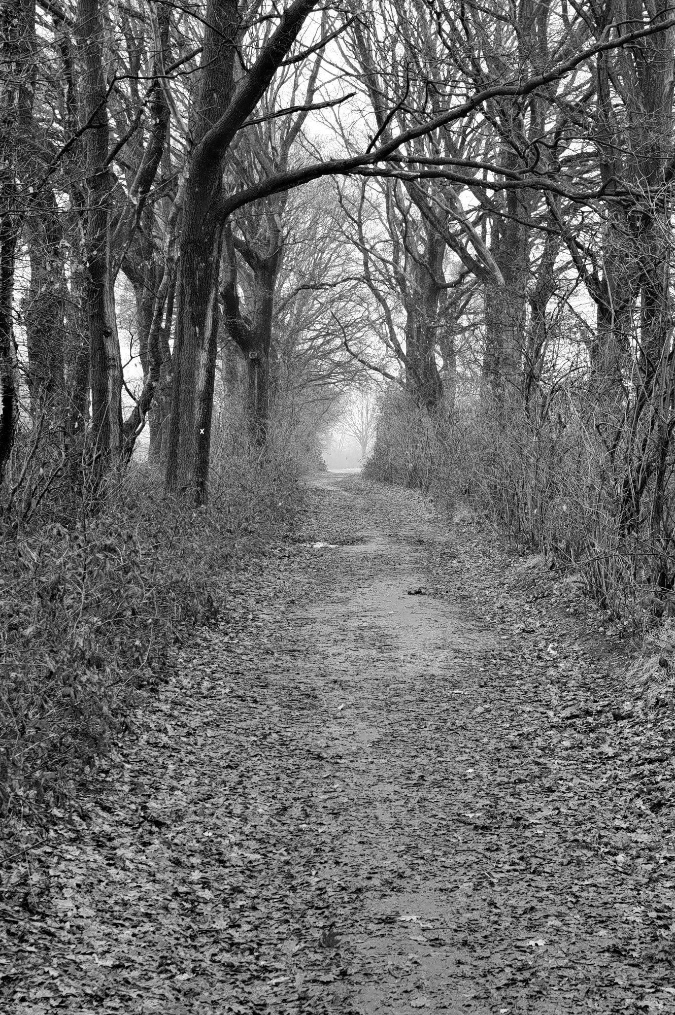 smc PENTAX-DA L 18-55mm F3.5-5.6 sample photo. The tunnel photography