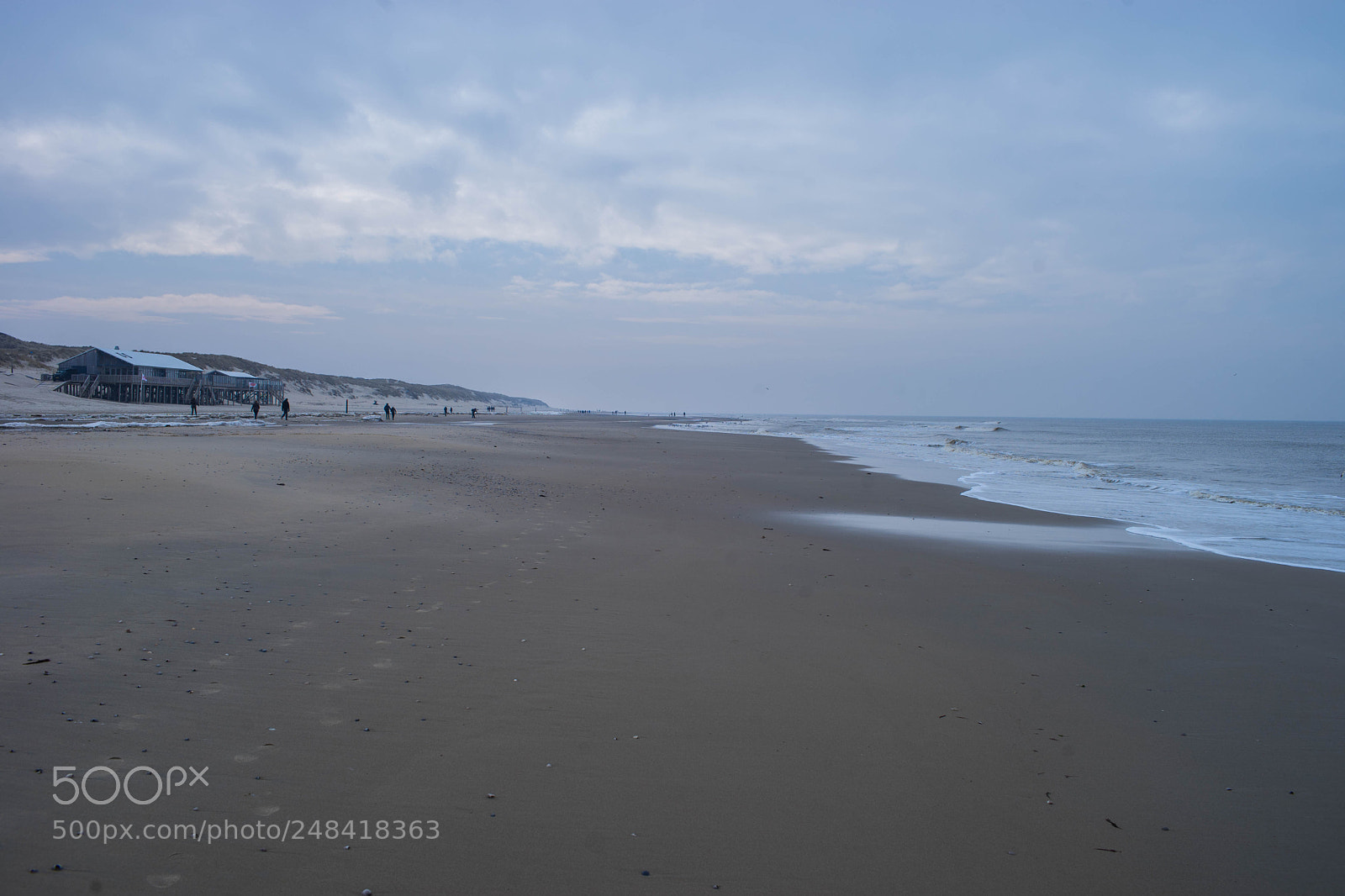 Sony a7 II sample photo. Texel photography