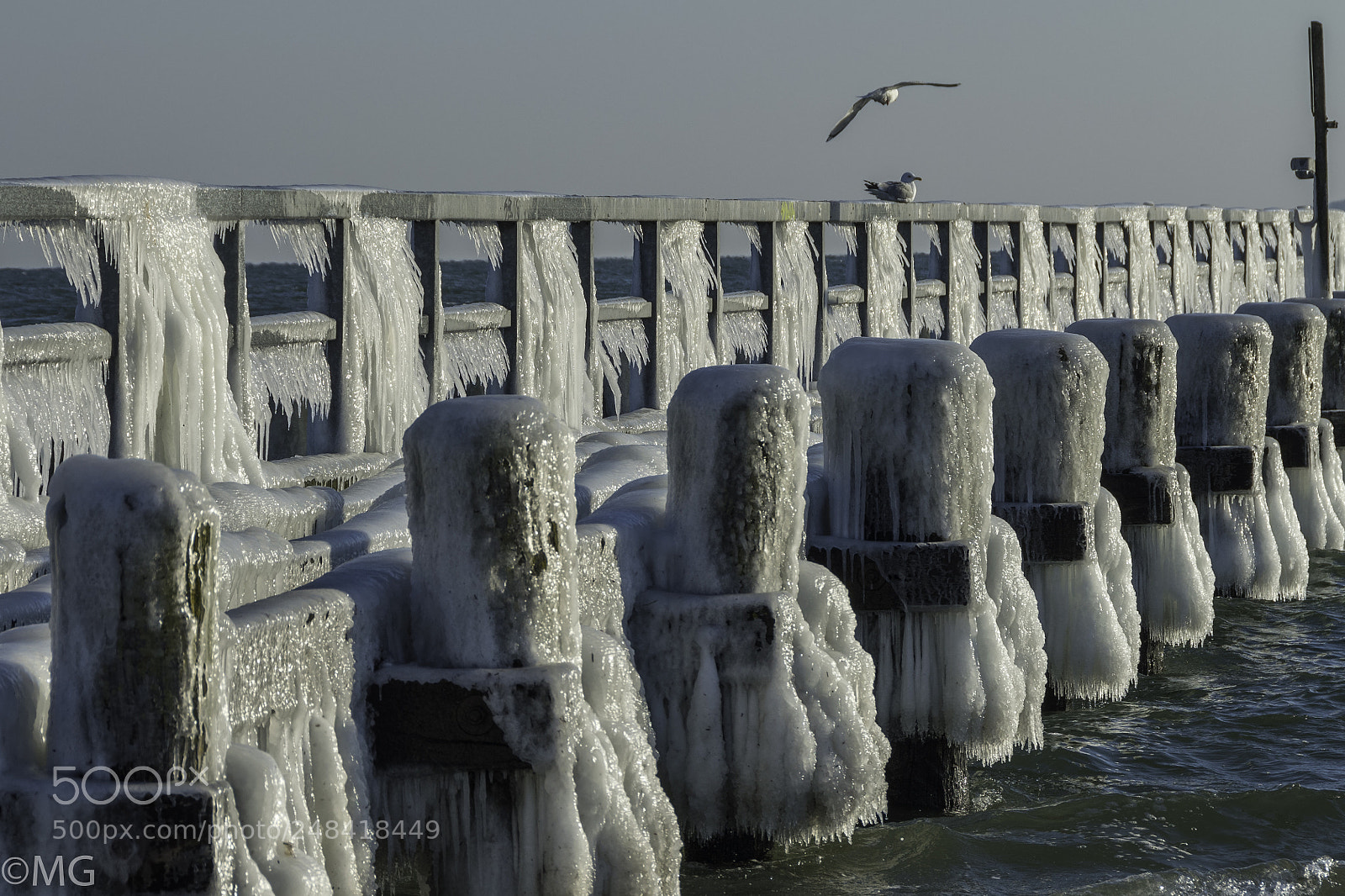 Nikon D500 sample photo. Ice age photography