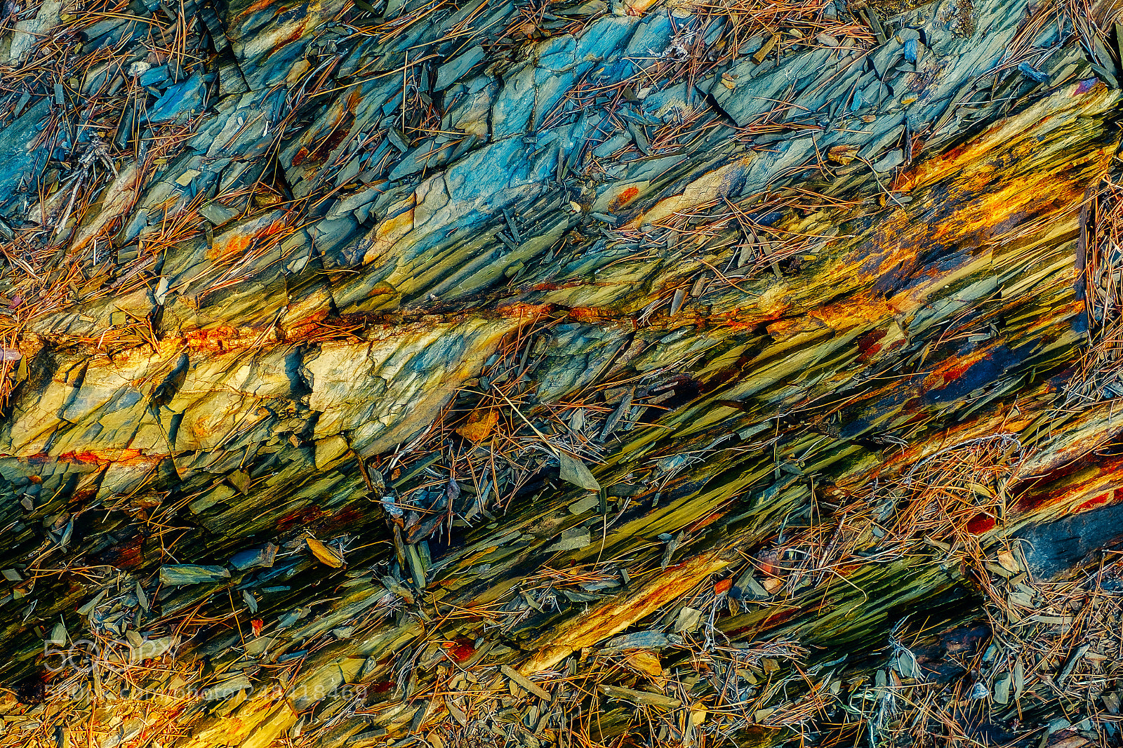 Fujifilm X-M1 sample photo. Rocks and pine needles photography