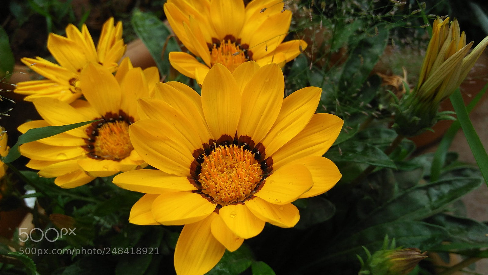 OPPO A37fw-International sample photo. Untitled photography