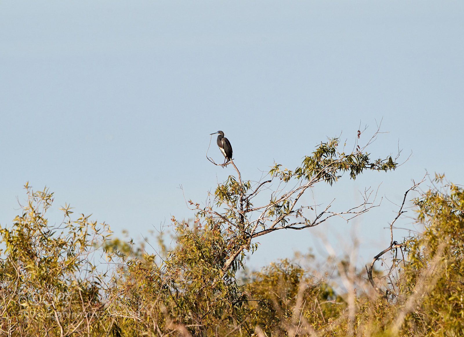 Canon EOS-1D X Mark II sample photo. 03-06-18-0006332.jpg photography