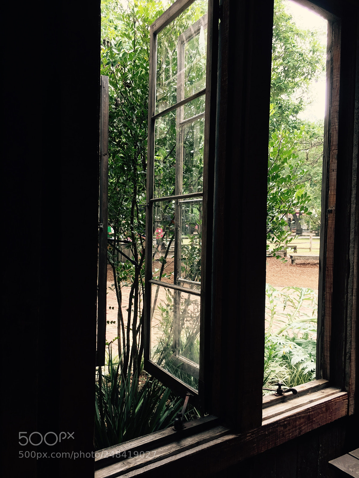 Apple iPhone 6 sample photo. Untitled photography