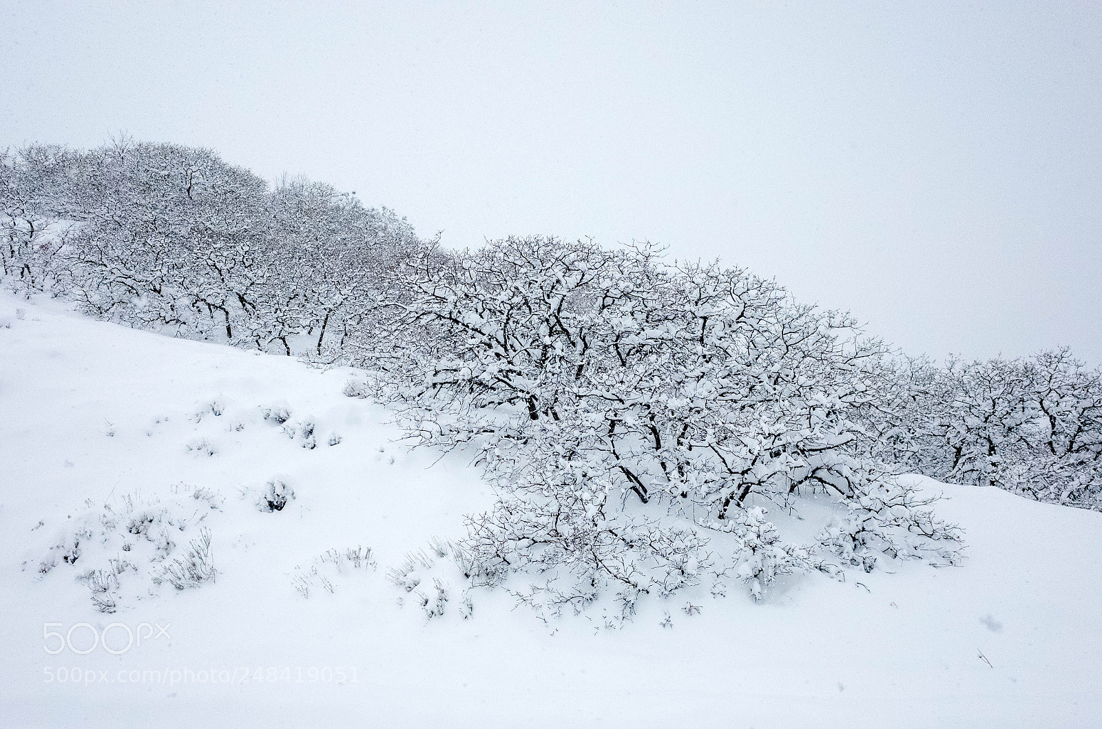 Ricoh GR II sample photo. Little cottonwood canyon photography