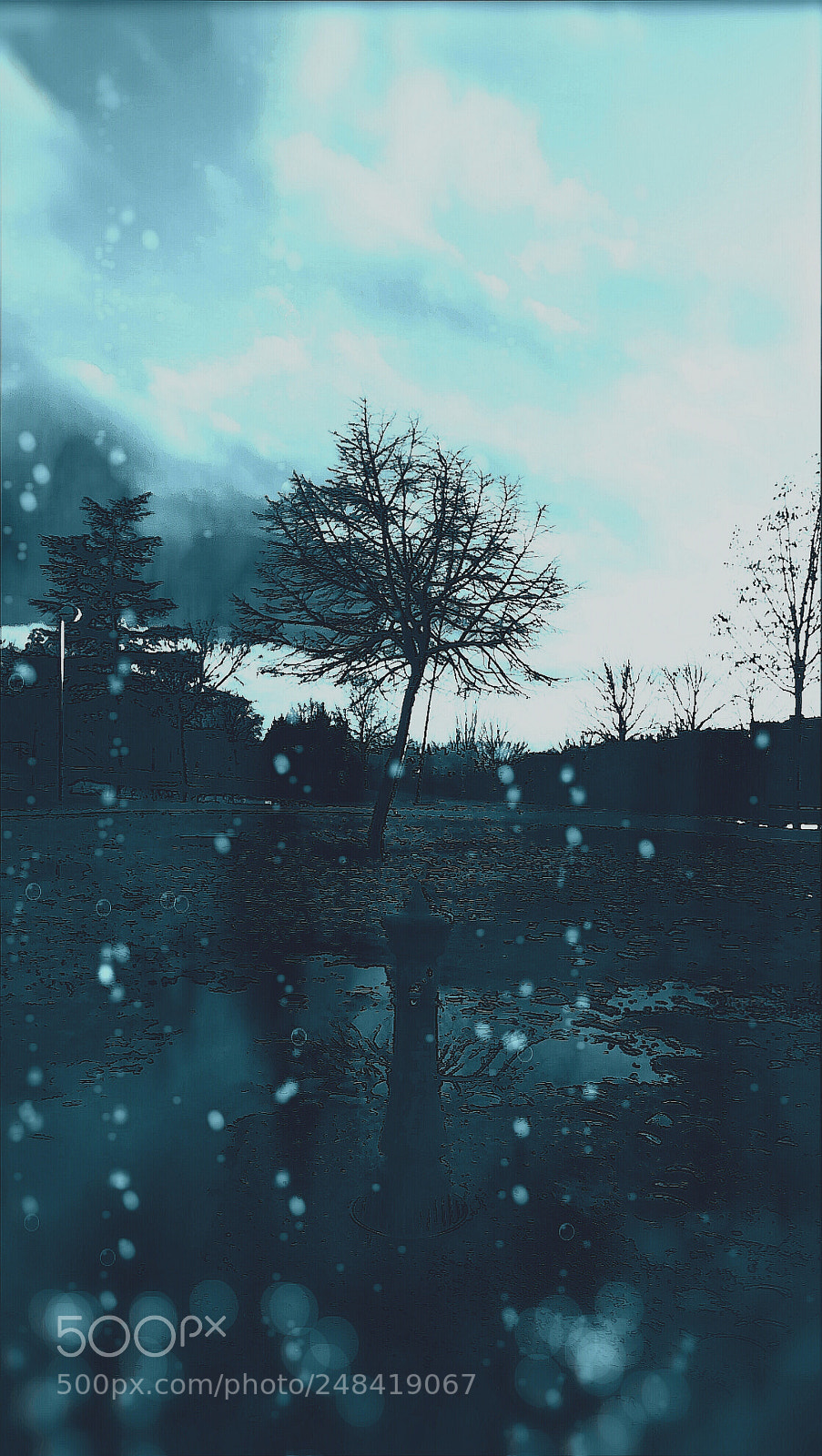 HUAWEI PRA-LX1 sample photo. Mistic rain photography