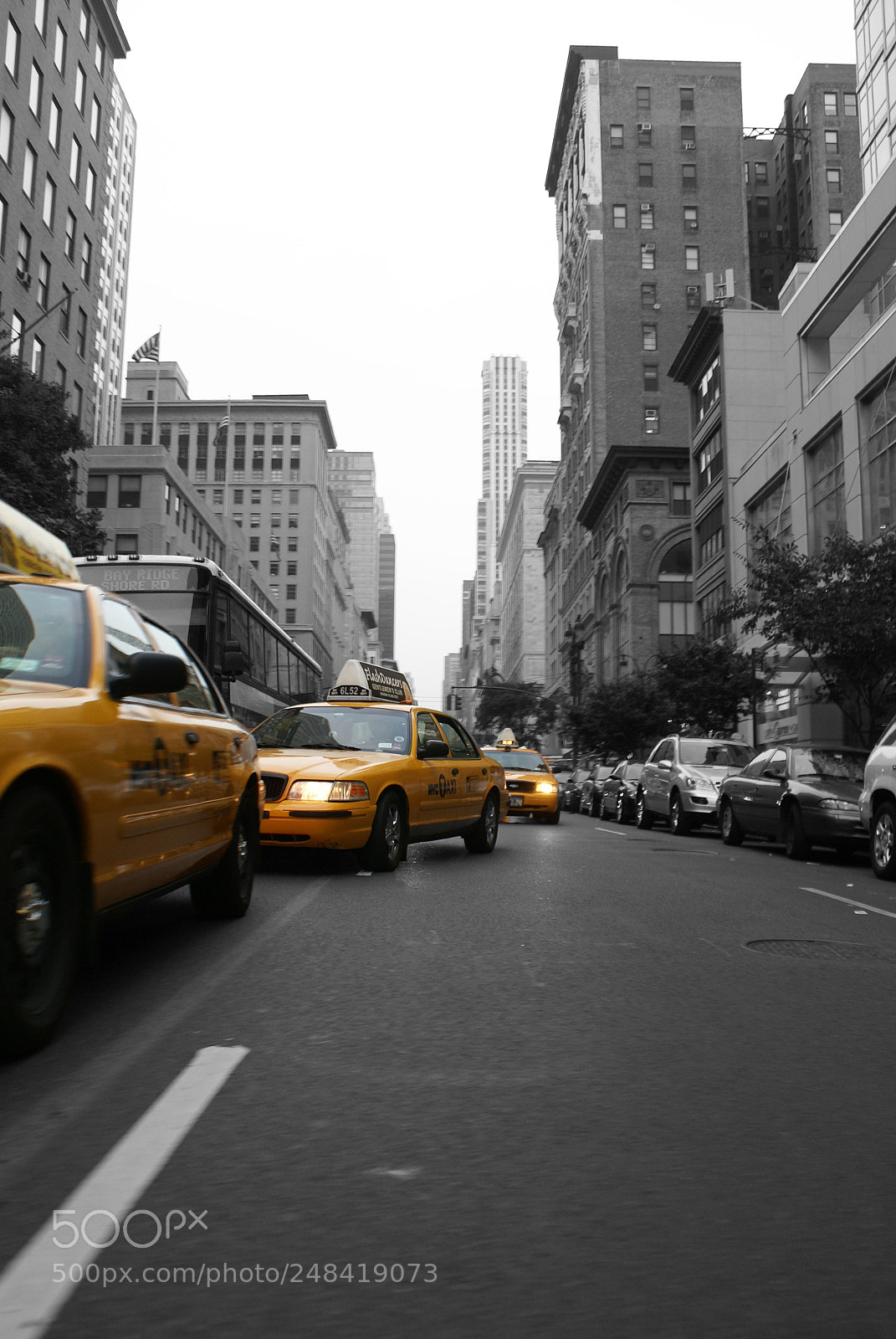 Sony Alpha DSLR-A100 sample photo. Yellow cab photography