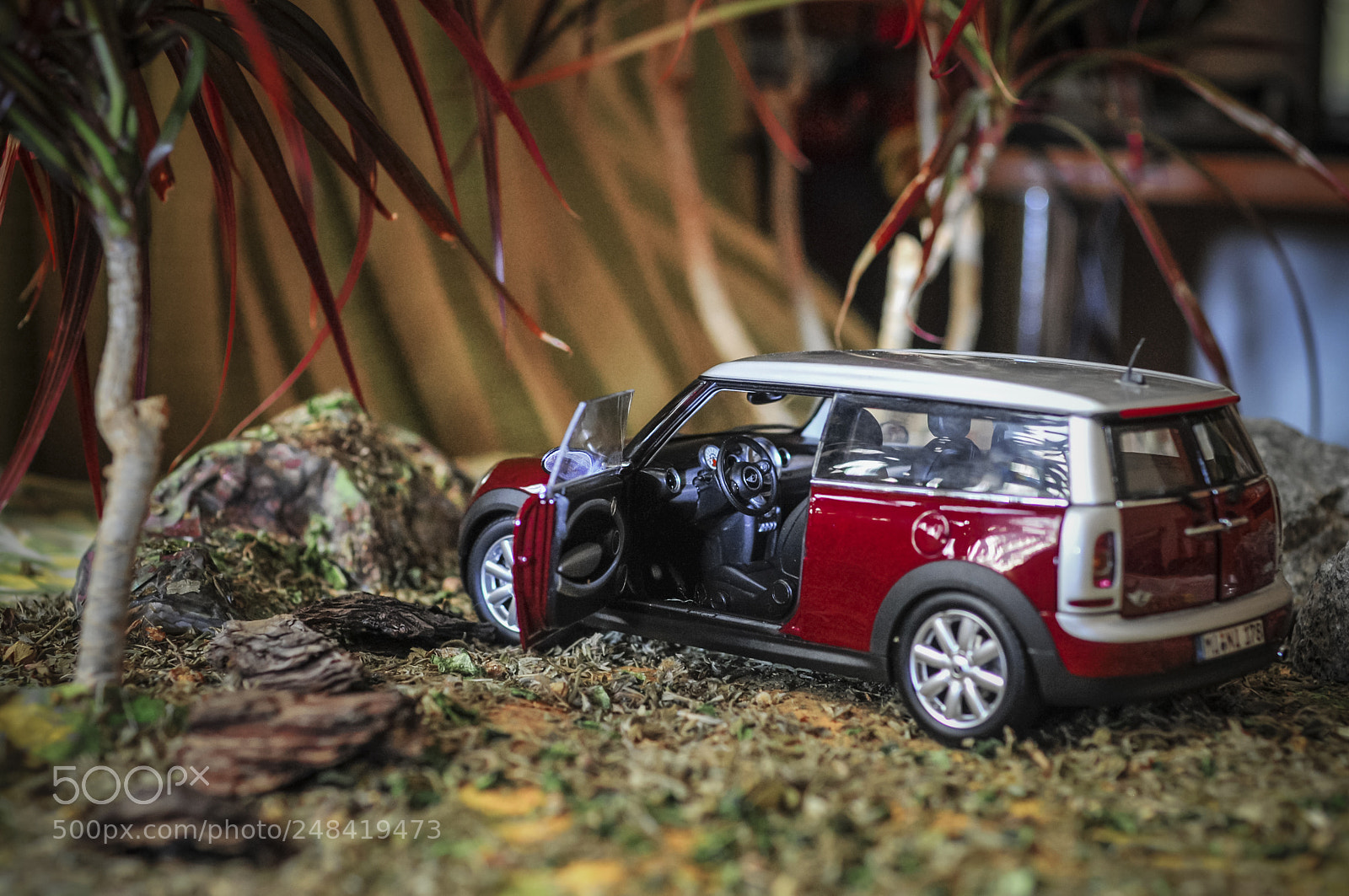 Nikon D300 sample photo. Mini cooper 178. model photography