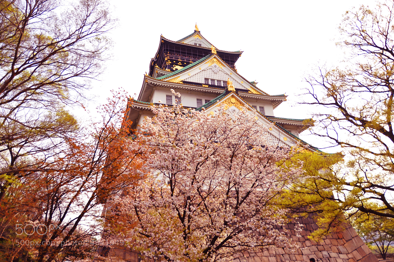Nikon D5000 sample photo. Osaka castle photography