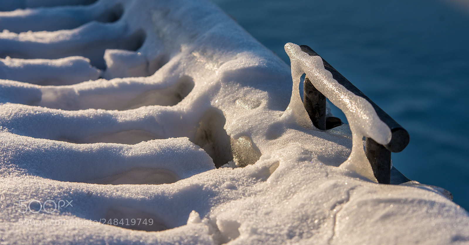 Nikon D610 sample photo. Icy copy photography