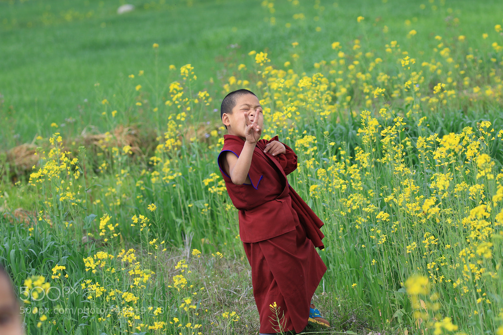 Canon EOS 7D Mark II sample photo. Monk photography