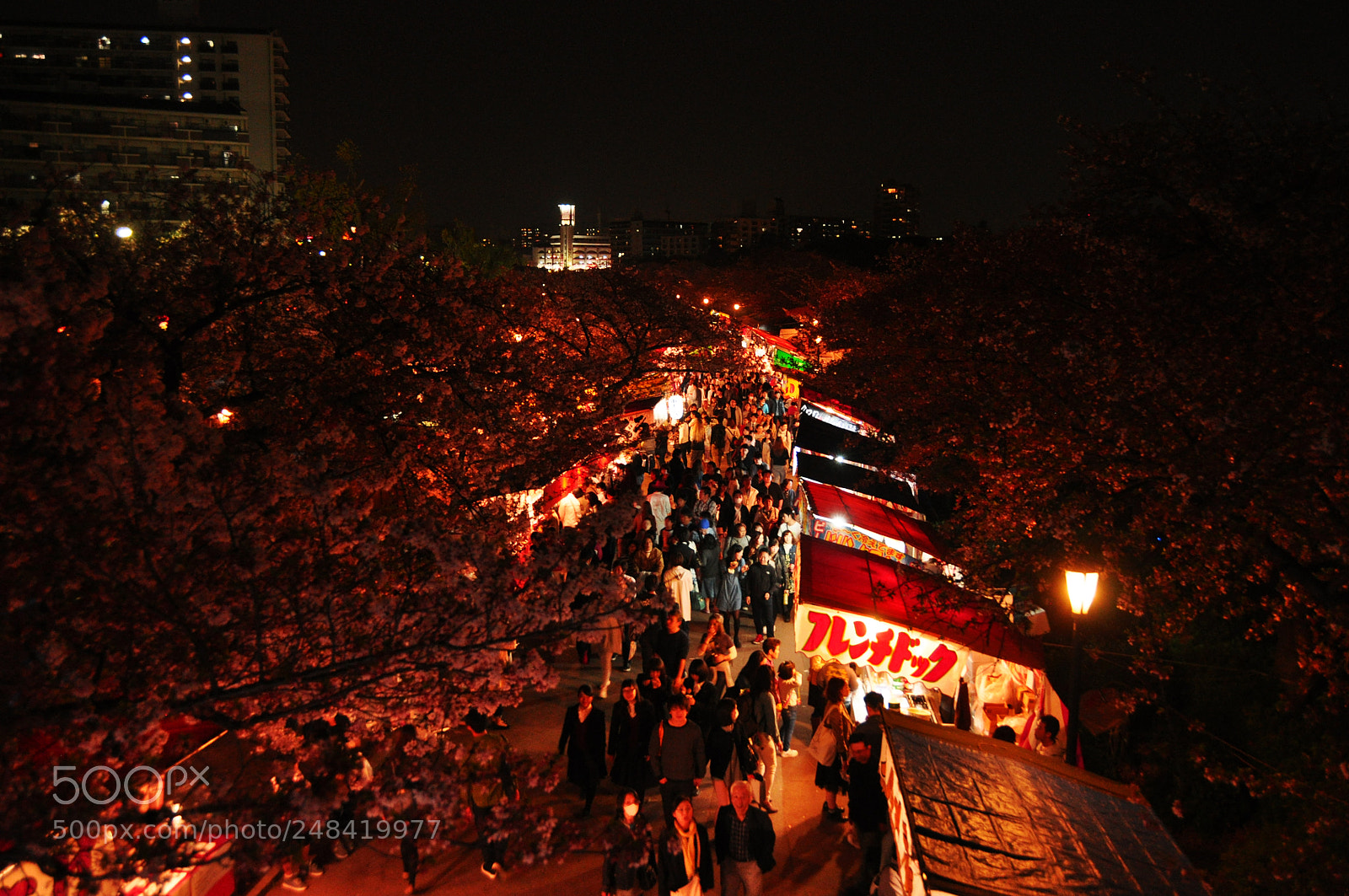 Nikon D5000 sample photo. Night event photography