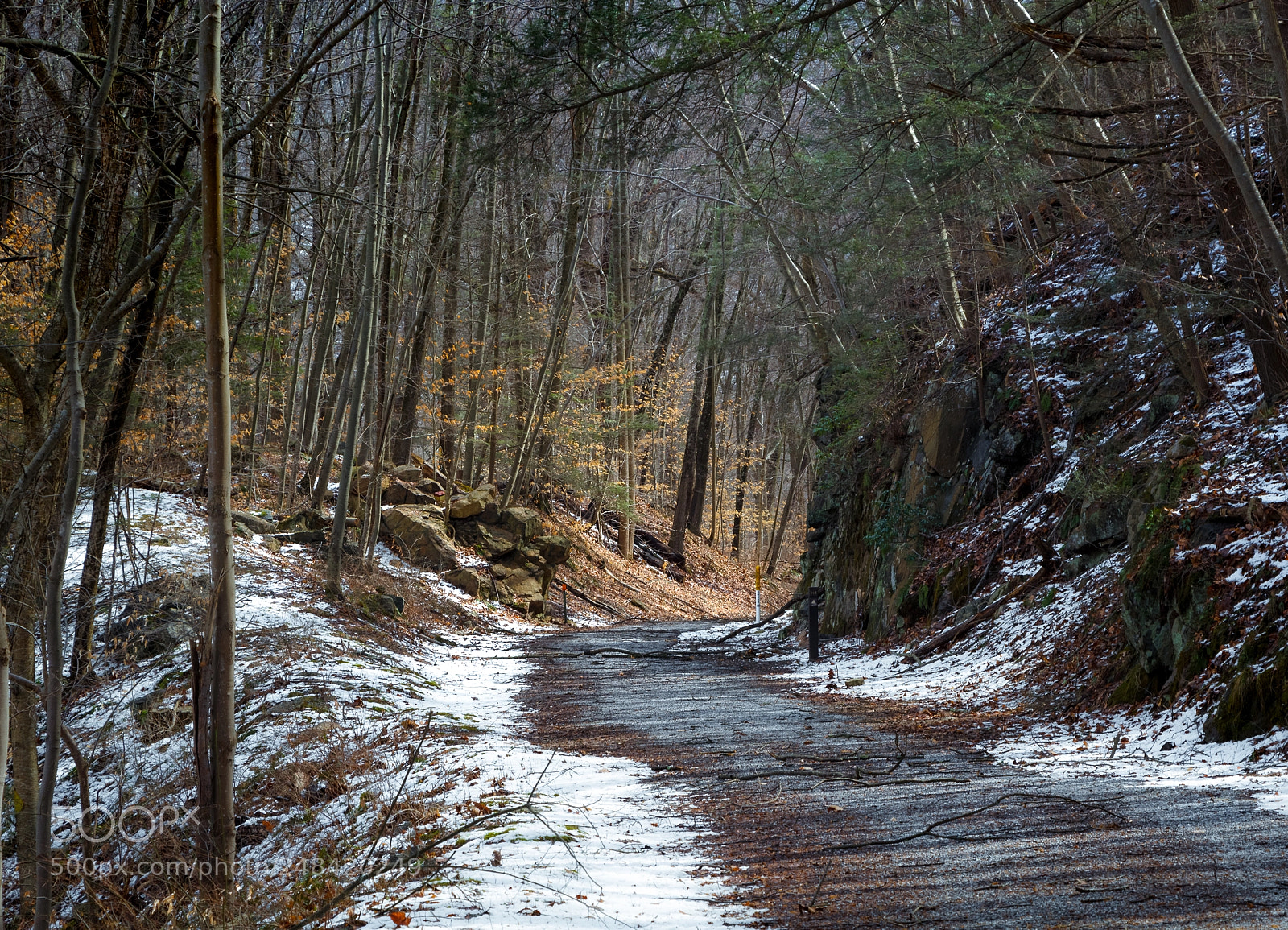 Canon EOS 60D sample photo. Columbus trail, new jersey photography