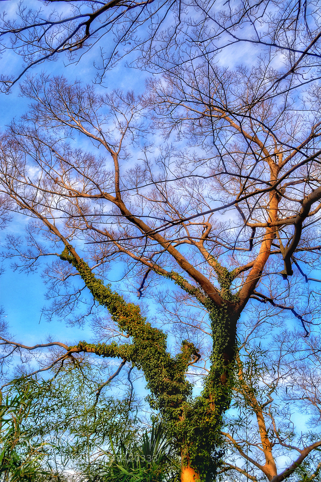 Nikon D5200 sample photo. Untitled photography