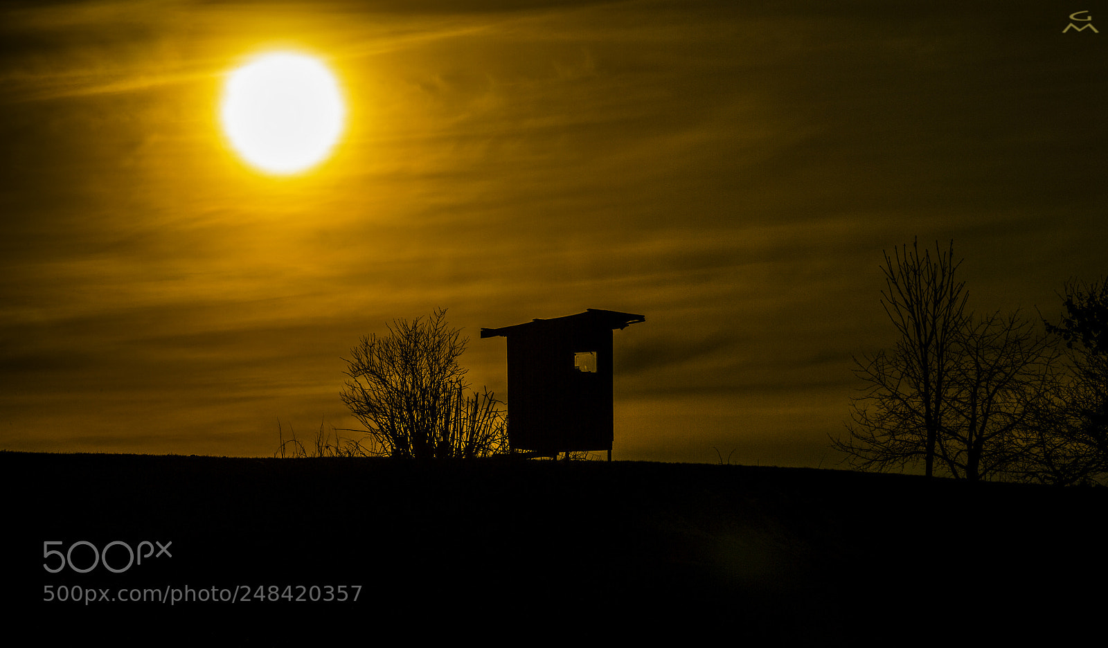 Nikon D4 sample photo. Early spring sunset photography