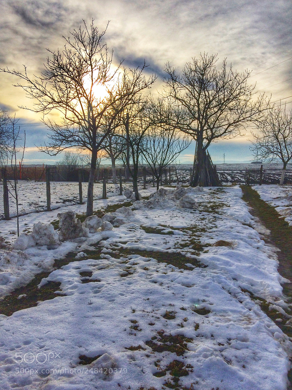 Apple iPhone 5s sample photo. Untitled photography