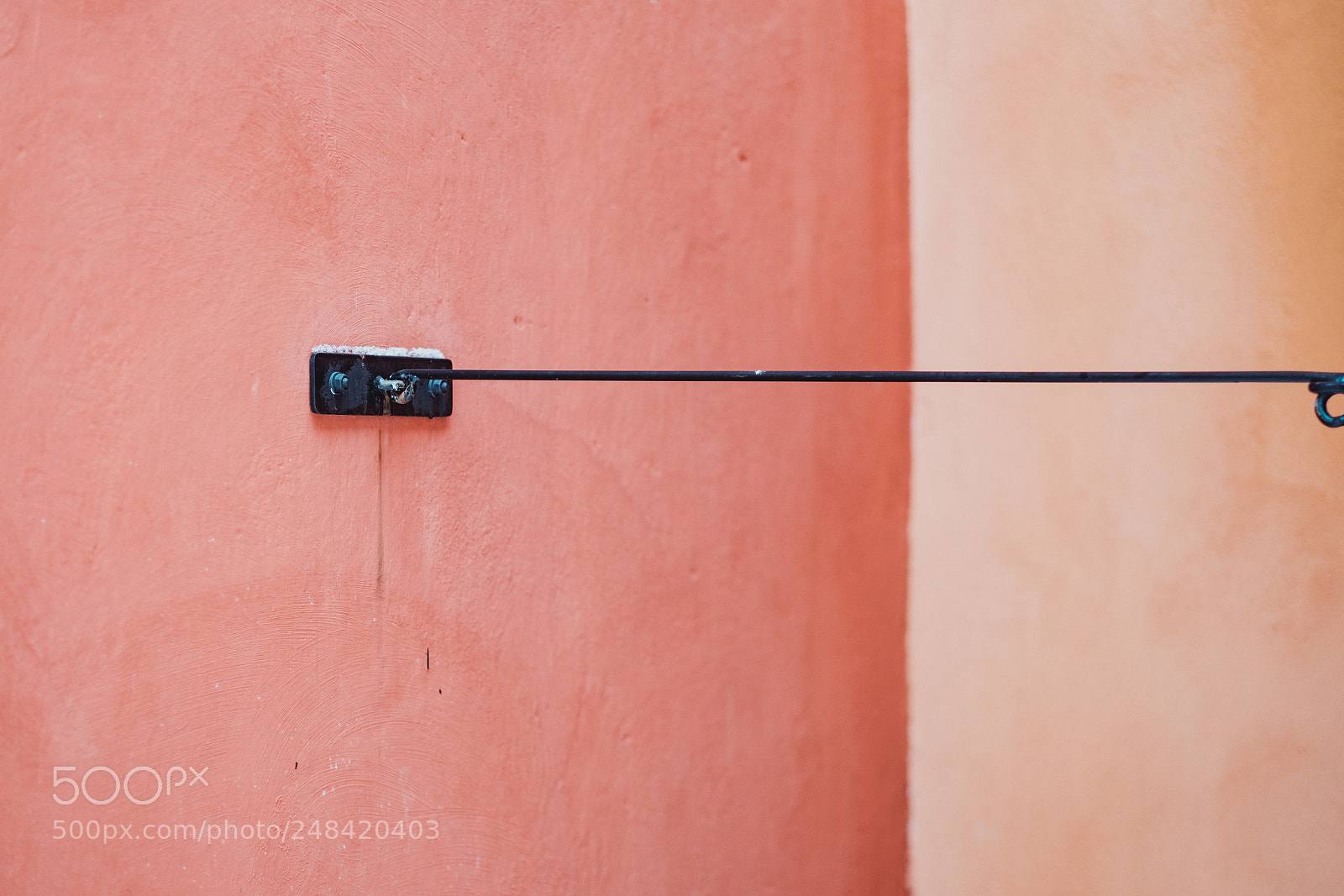Fujifilm X-T1 sample photo. Hooked on orange photography