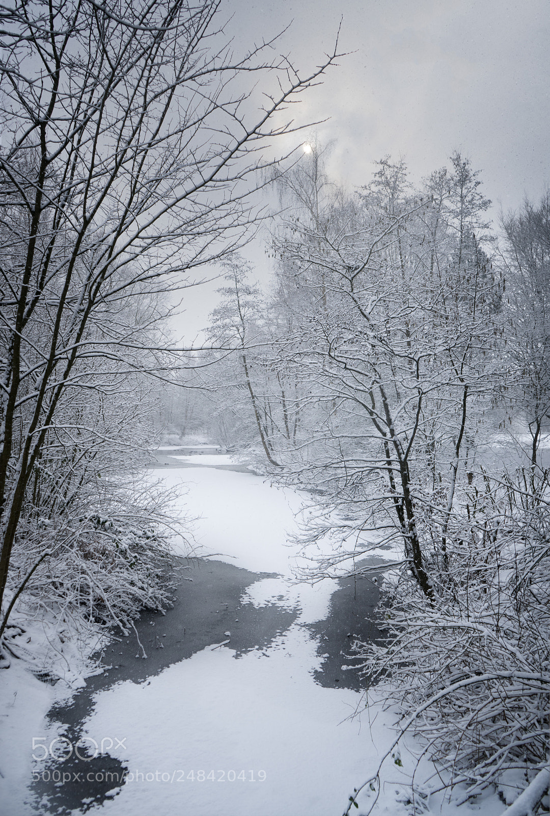 Sony a7 sample photo. Frozen photography