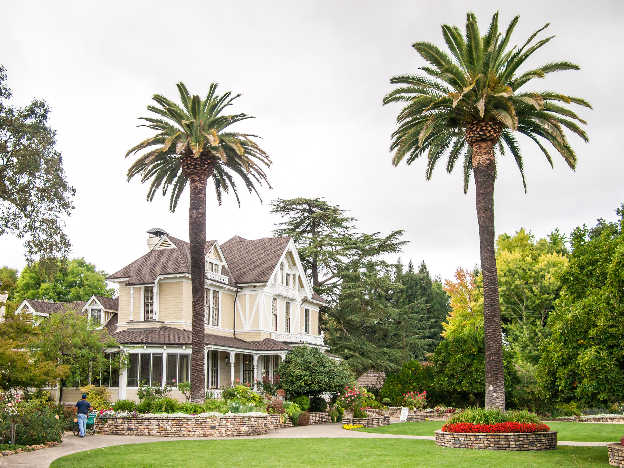 Olympus PEN E-P1 sample photo. Sutter home winery photography