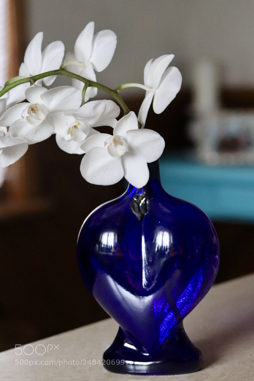 Canon EOS 77D (EOS 9000D / EOS 770D) sample photo. To bloom photography