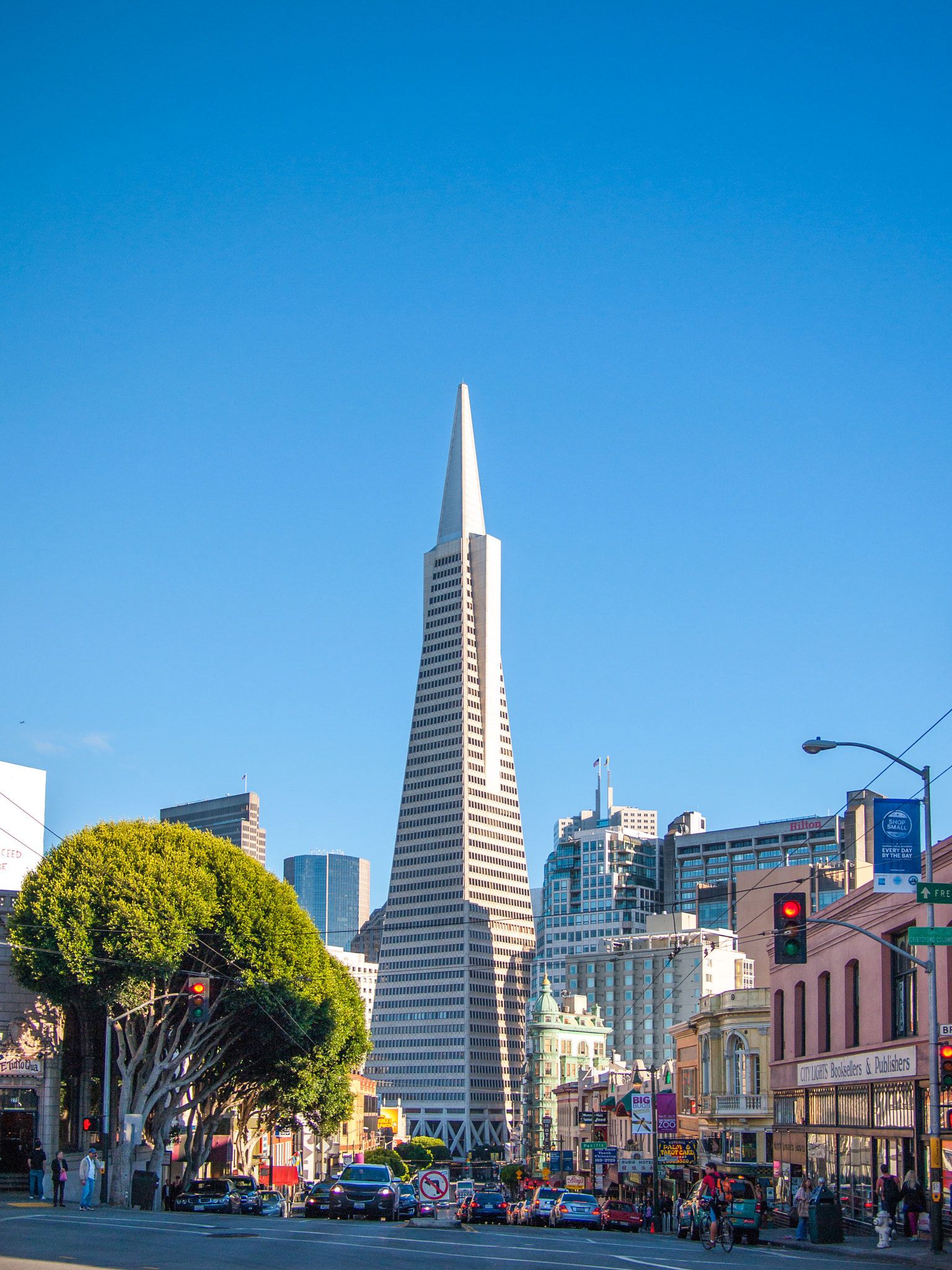 Olympus PEN E-P1 sample photo. The transamerica pyramid building photography