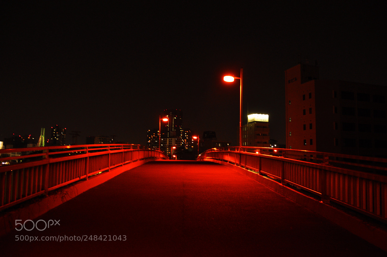 Nikon D5000 sample photo. Too dark to keep photography