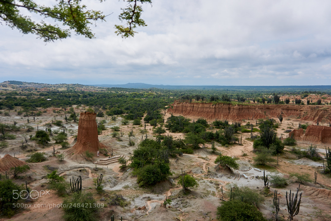 Sony a6000 sample photo. Desierto rojo photography
