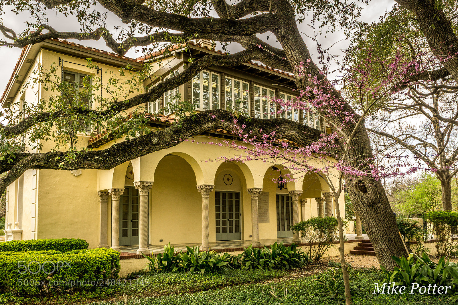 Sony a6000 sample photo. Landa library photography