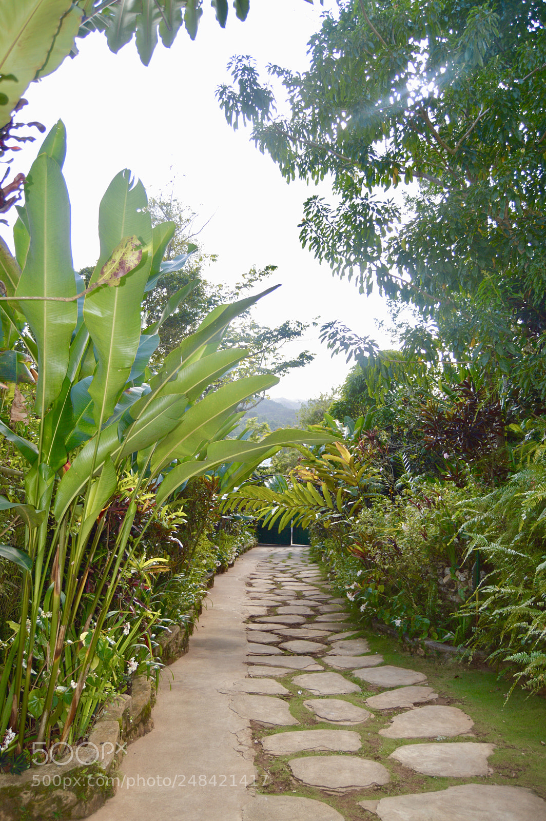 Nikon D3200 sample photo. Fullsizeoutput a photography
