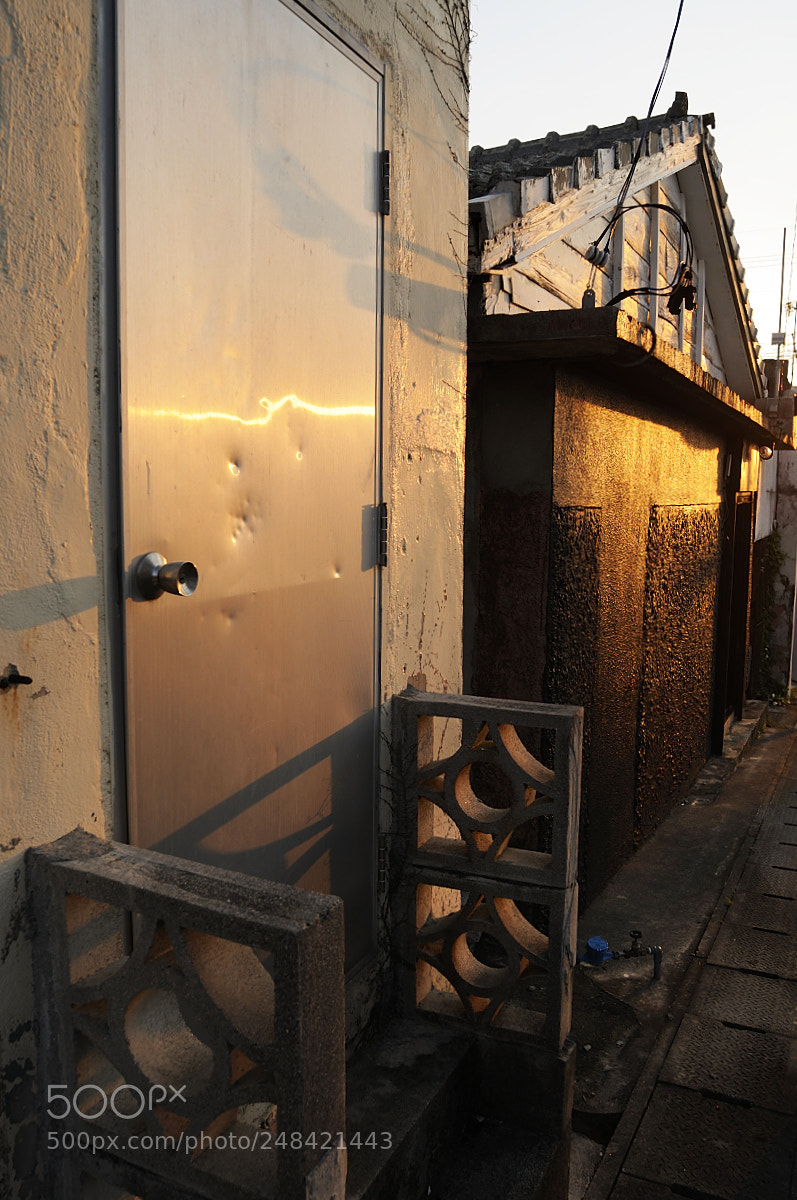 Nikon D300 sample photo. Door photography