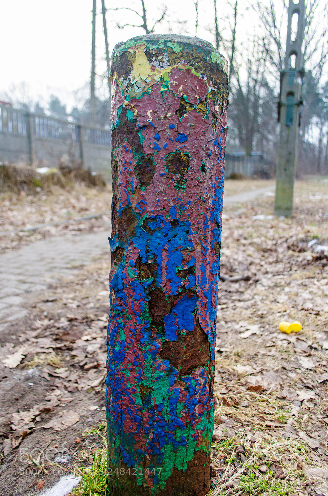 Nikon D5100 sample photo. Slupek photography