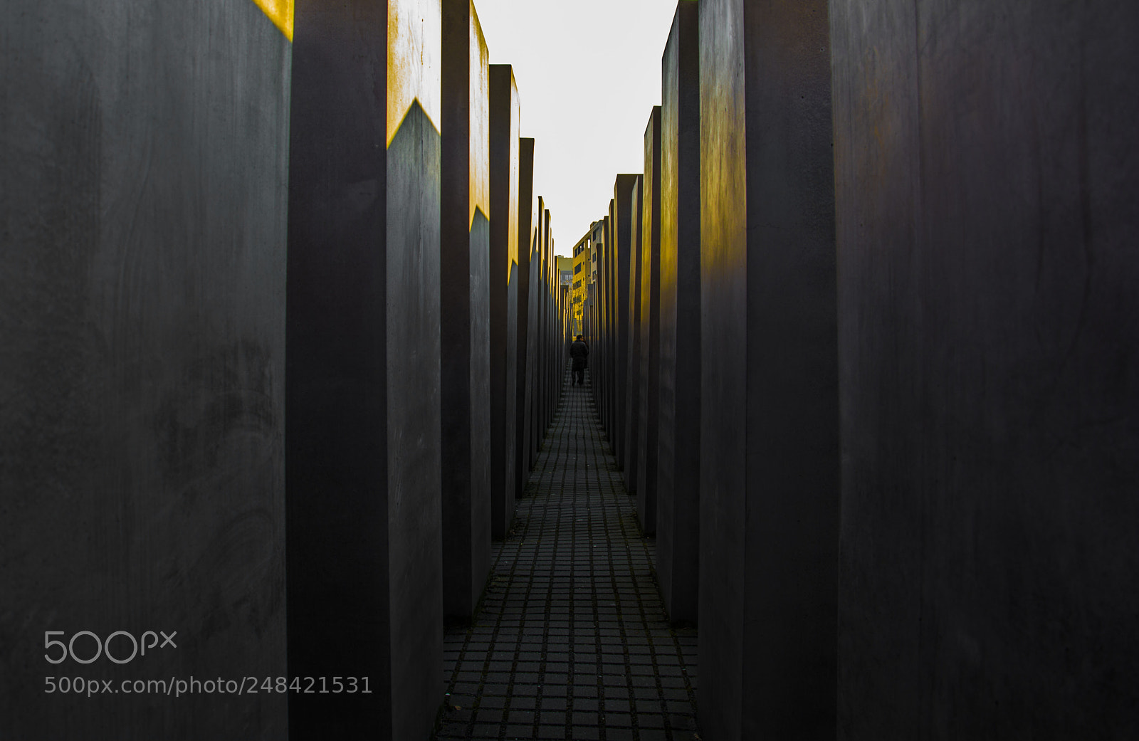 Nikon D5200 sample photo. Memorial to the murdered photography