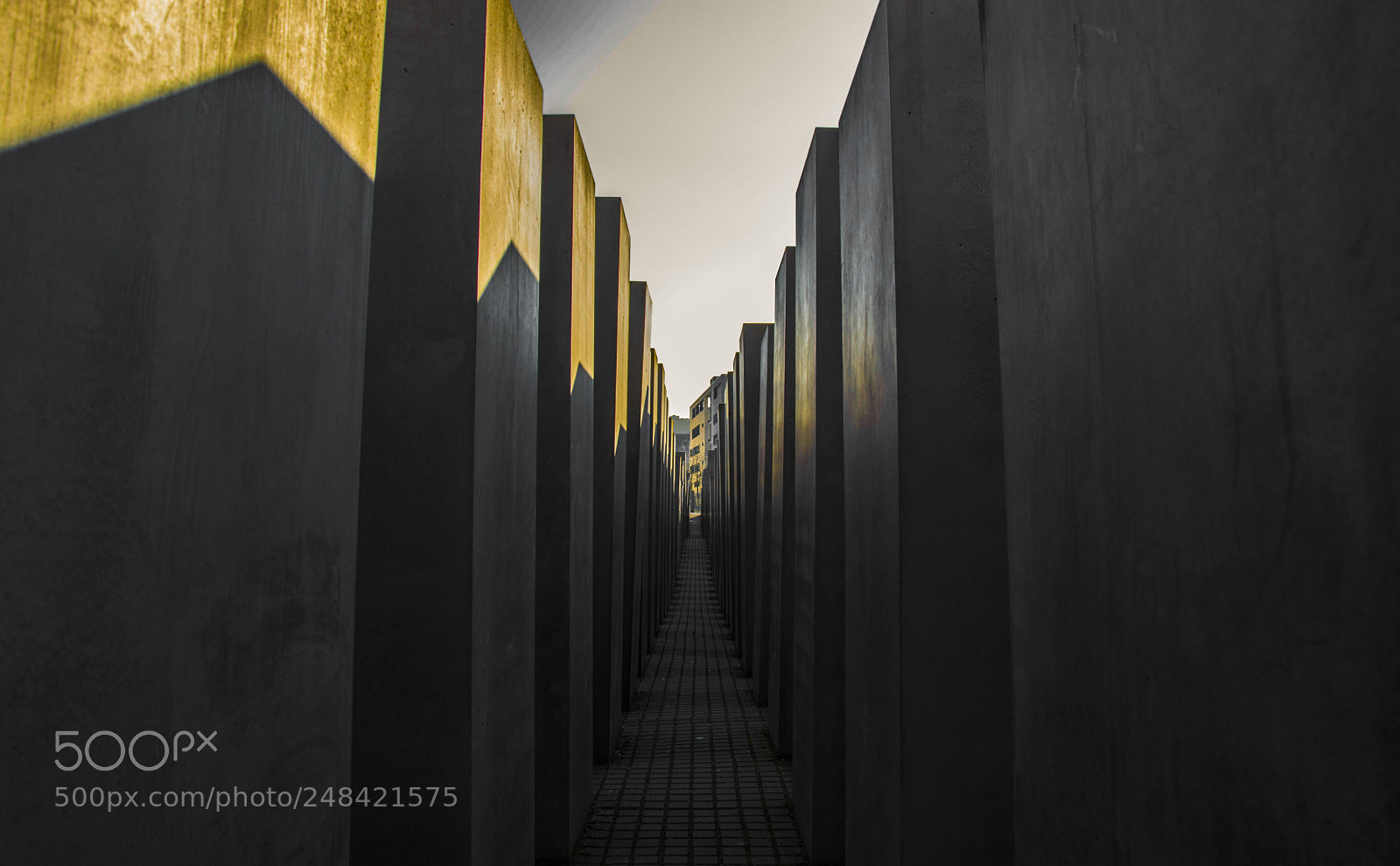 Nikon D5200 sample photo. Memorial to the murdered photography