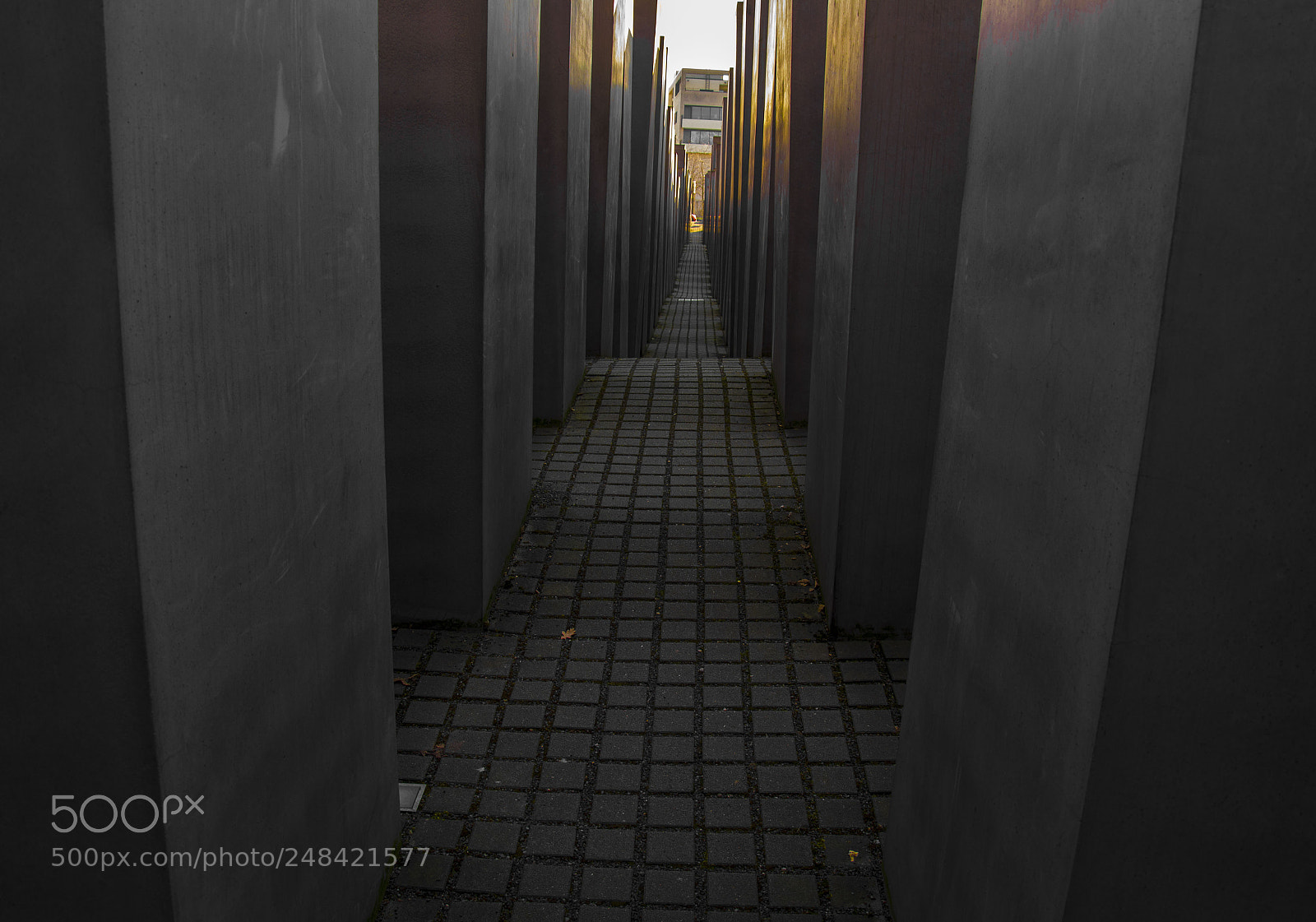 Nikon D5200 sample photo. Memorial to the murdered photography