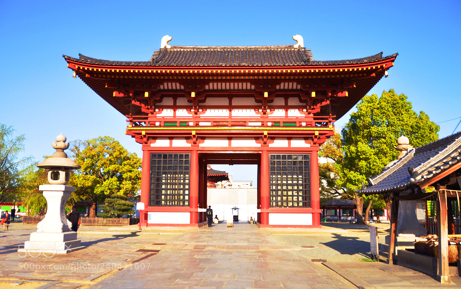 Nikon D5000 sample photo. Dragon gate photography