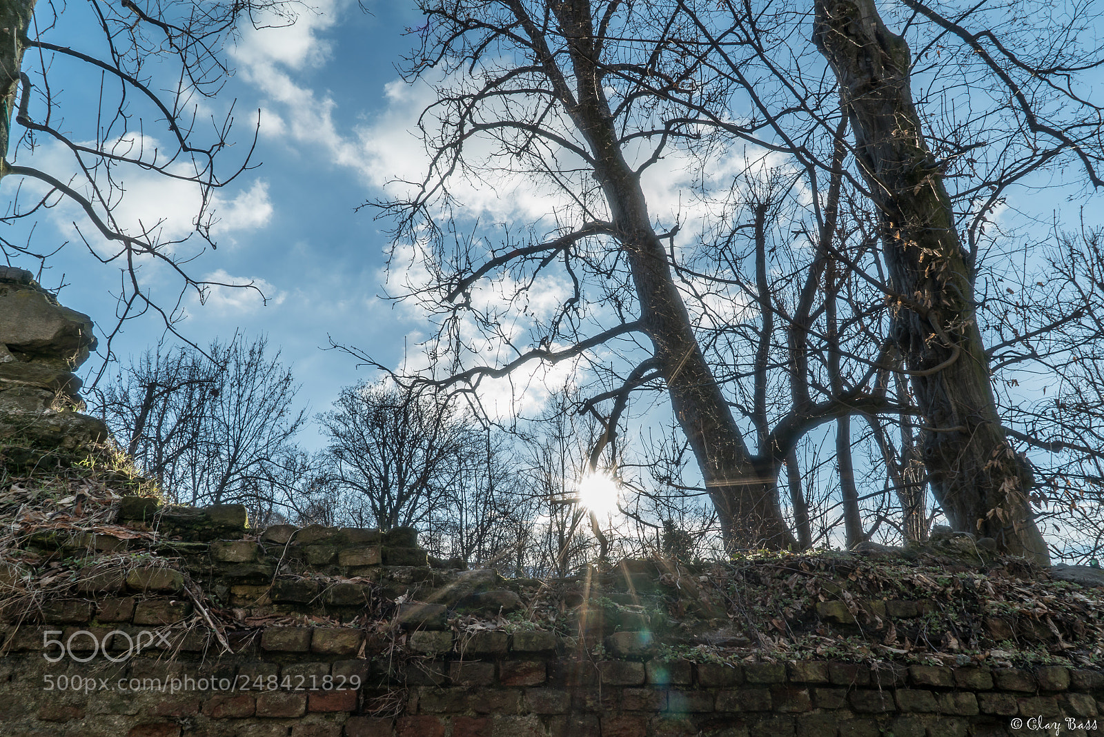 Sony a7S II sample photo. Il sole sopra il photography