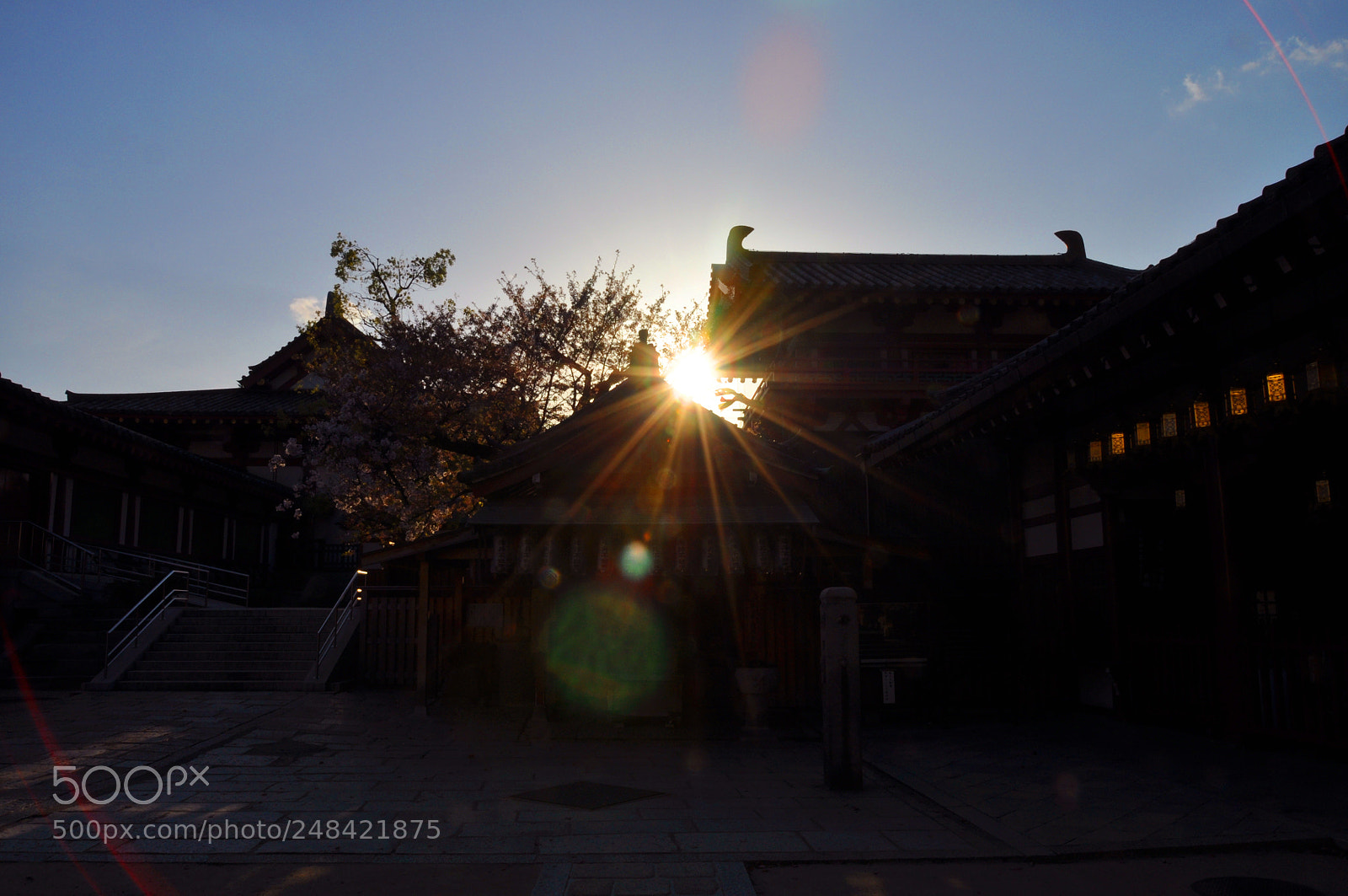 Nikon D5000 sample photo. Sun flash photography