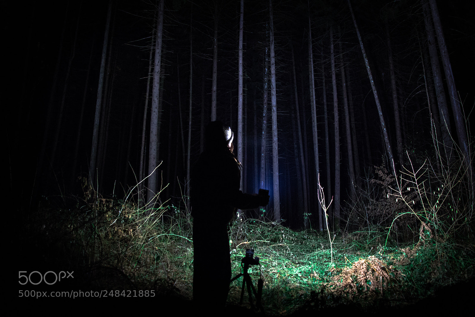Canon EOS 60D sample photo. Night time photography